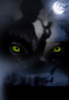 Hound of the Baskervilles