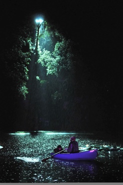 Merlin and The Legend of King Arthur in Lancaster's Williamson Park 2011. Photo by Ian Tilton