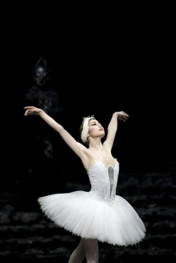 Swan Lake